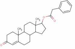 The Role of Testosterone in Muscle Gain: Strategies for Boosting Levels to Accelerate Growth
