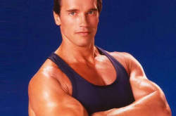 Arnold Schwarzenegger's Rigorous Workout Routine and Disciplined Daily Life: A Blueprint for Fitness